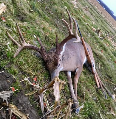 Scoring A Buck - Wideners Shooting, Hunting & Gun Blog